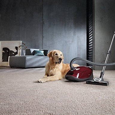 Miele Complete C3 Cat & Dog Tayberry Red | 12031880 - Image 5