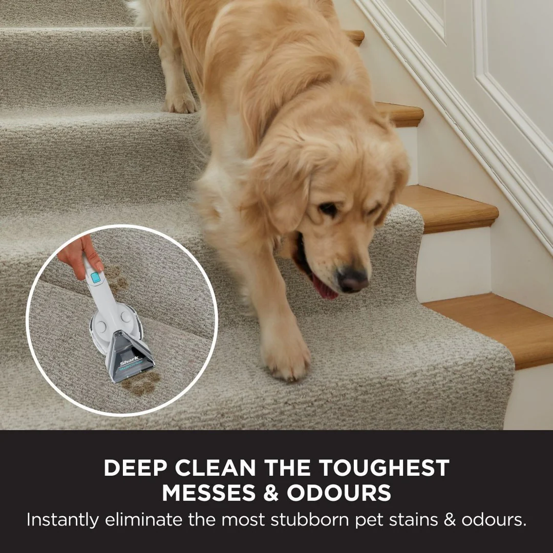 Shark CarpetXpert Deep Carpet Cleaner with Built-In StainStriker | EX200UK - Image 8