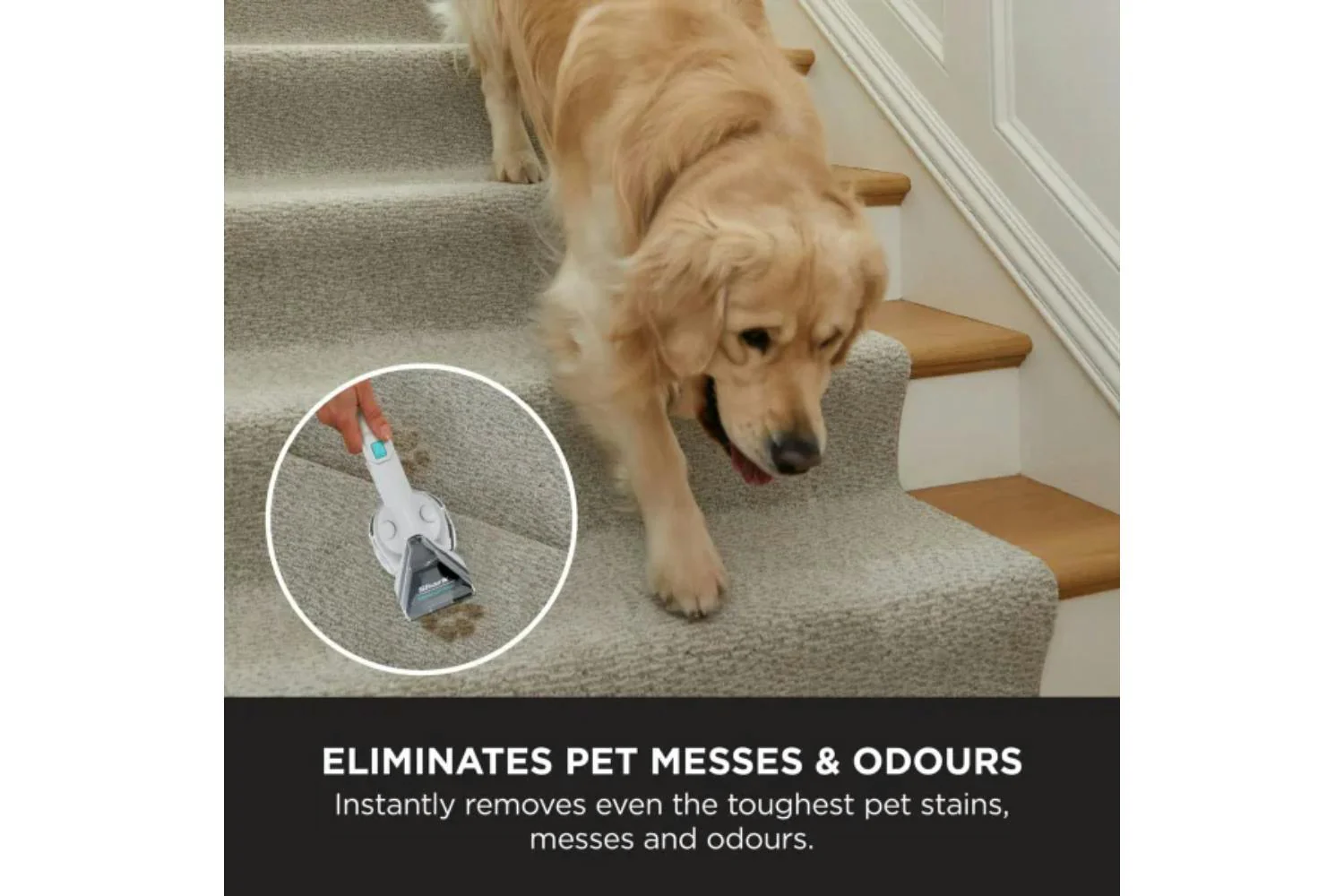 Shark StainStriker Pet Stain & Spot Cleaner | PX200UKT - Image 4