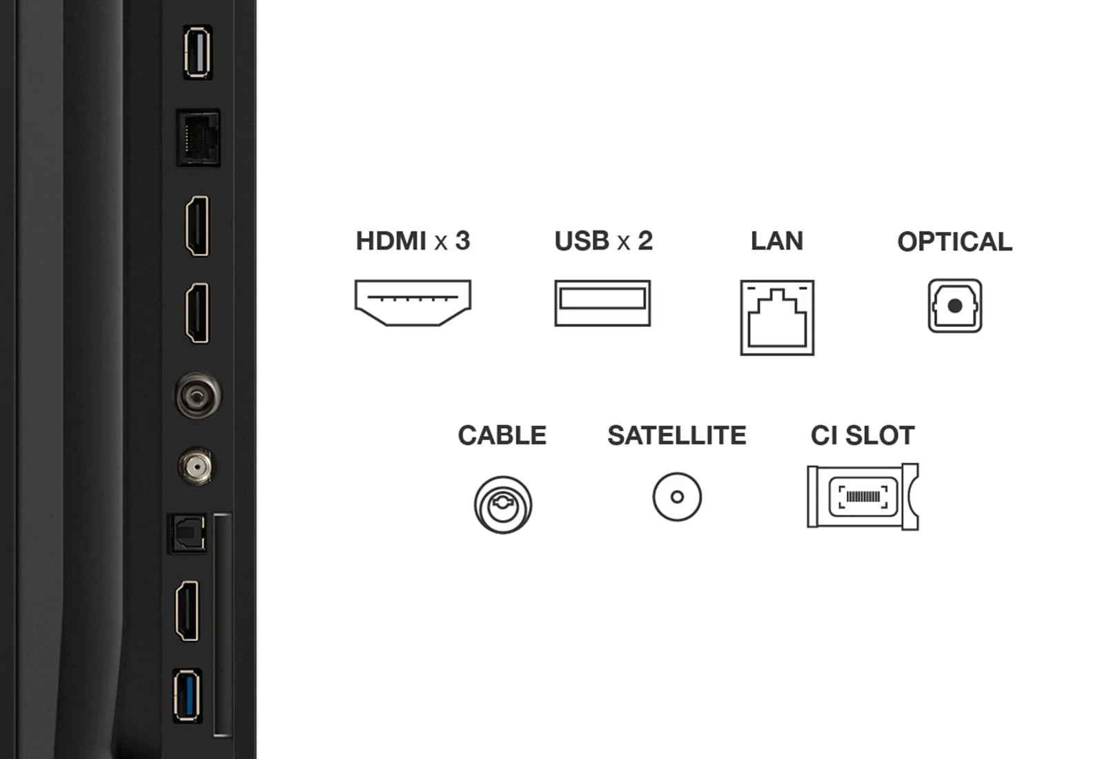 TCL 75" 4K Smart Google TV | 75V6C - Image 9